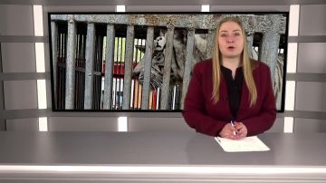 В Мариуполе напал тигр на сотрудника зоопарка, организована процессуальная проверка