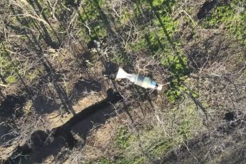 Операторы fpv-дронов группировки войск «Восток» сорвали доставку боеприпасов ВСУ на Южно-Донецком направлении