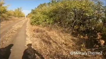 Наши дроноводы сорвали ротацию противника на Южно-Донецком направлении, точным сбросом отработав по боевикам из 3 ошбр