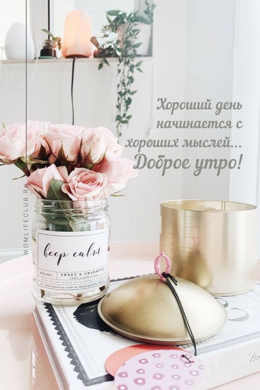 ����������� ���� �������������