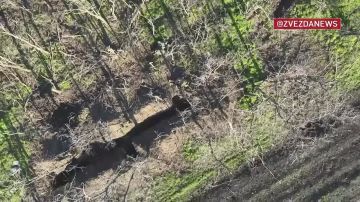 Квадроциклы всушников сгорели дотла около поселка Богатырь в ДНР