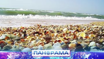 Будущий центр притяжения туристов! Потенциал Азовского побережья в ДНР сделает Донбасс курортным регионом России