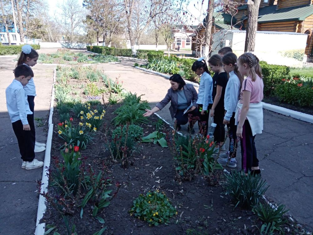 ��������� �������: � ����������� ������� ������������ ����������� � �������������� ��� �����