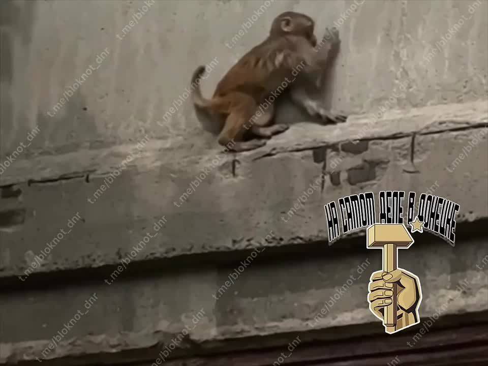 �� �������� � ������� � ������� ������� ��������
