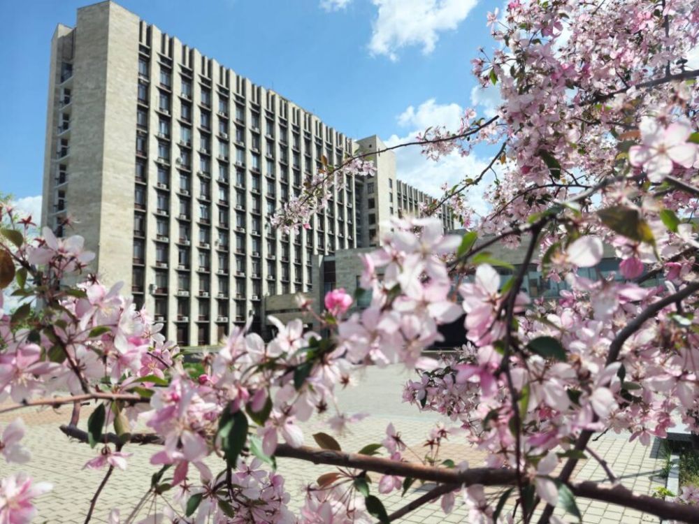 Правительство утвердило изменения в мероприятия по приведению в нормативное состояние автомобильных дорог общего пользования в 2025 году