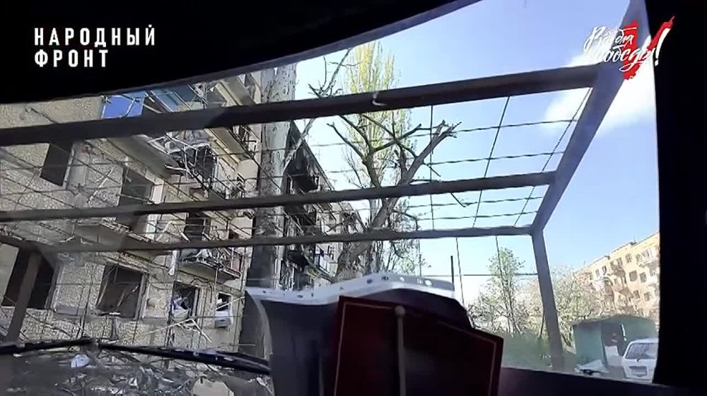 "Вера" – маленький защитник, её знают все жители Курахово