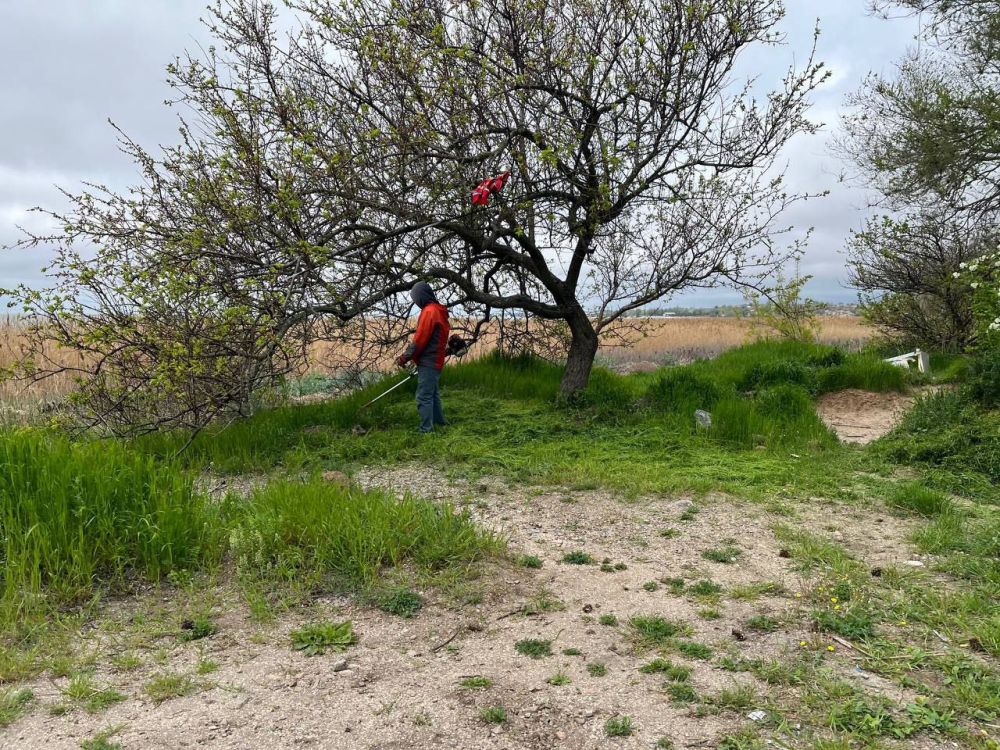 ������� �������: � ������ �������������� ����������, �������, 26 ������, ��������� ������������� ������������� �������������� ������ ������ ������� � ������ ���������� � ����� � ������ �����������