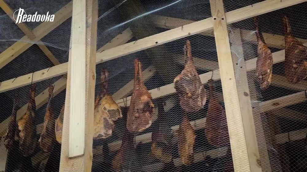 ���� �����: ������� ��������� ��������, ���������� � ��������������� ������ � ���� ���, � ��� ���������� ����� �� ���������