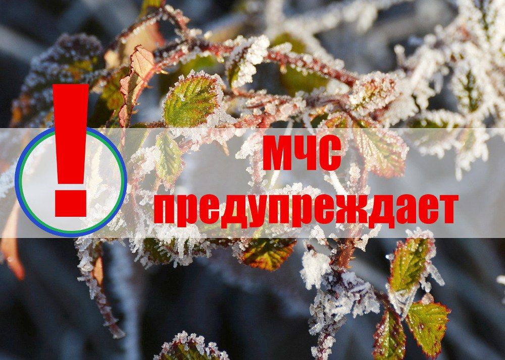 ����� �����: ��� ���: ��������� �������� �������