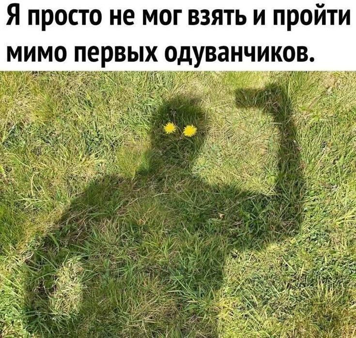 ����� ���� �������!. �����������