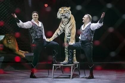 � ������� �������� �������� �������� ����������� �����