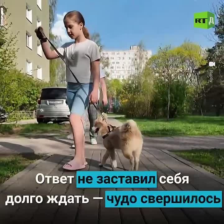 ������� �� ����������!. ������������ ����� �������� ������� �� ��������� ������ �� ���� ��������