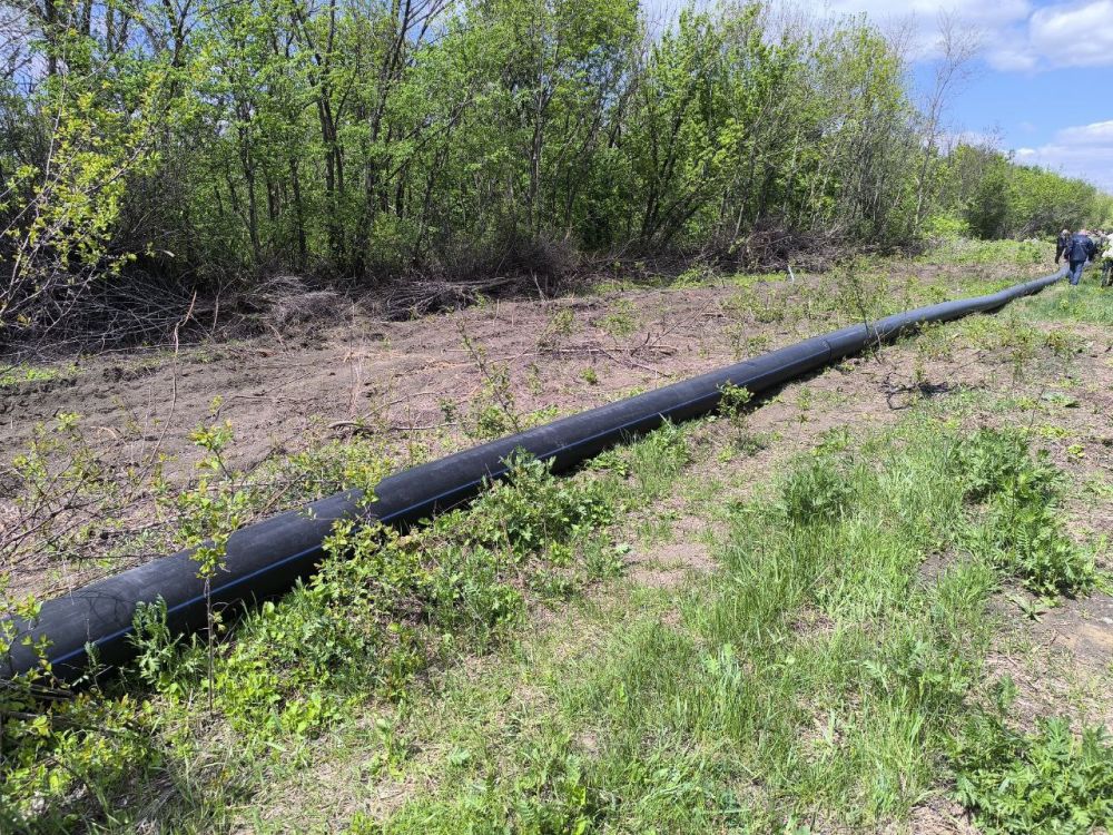 ����� �����: ��������� ������������ ���-������� ������������� ������� ������������ ������ �� ������ ������� �������������� ����������� (�.�. �������� - �.�. ��������)