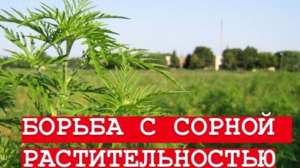 ����������� ����������������� �� �������� �������� ���������� � ��������� �������� ���������� �� ����������� ����������, �� ��������� ������������ ������ �� 21.07.2014 � 206-�� �� ��������� �������� � ������� �����������...