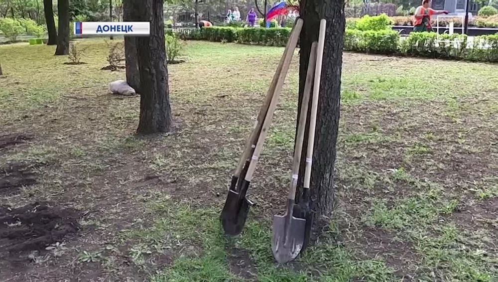В Донецке расцветёт ещё больше роз: ДНР присоединяется к Всероссийскому субботнику!