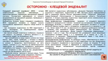 Консультации по вопросам профилактики инфекций, передающихся клещами будут проводить по телефону +7(856)57-447-35