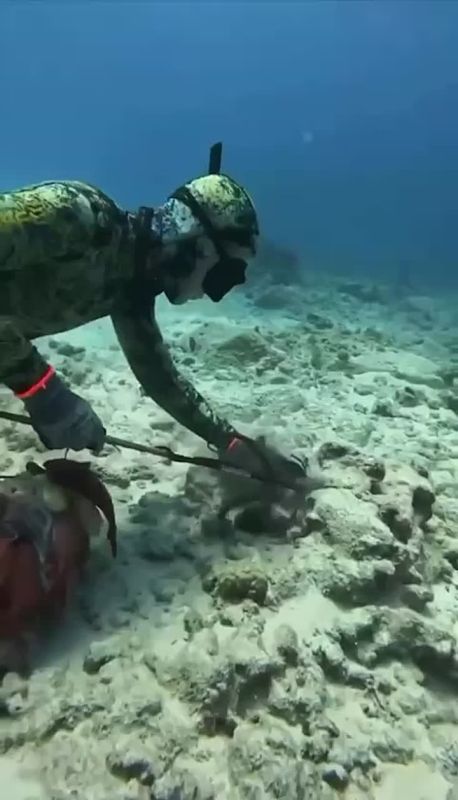 ����� ����������: ���� ��� �� ��������, ����� ������� ��������� �������� ������, ����� �� ����� � ���������� �� 9 ���, ����������� ���� ����� ������ � ����������� ��������, � �������� ������ 29 ������: