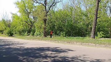 В Кировском внутригородском районе ведутся работы по покосу травы