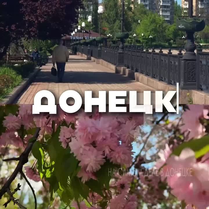 ����� ���� � ����������� �������