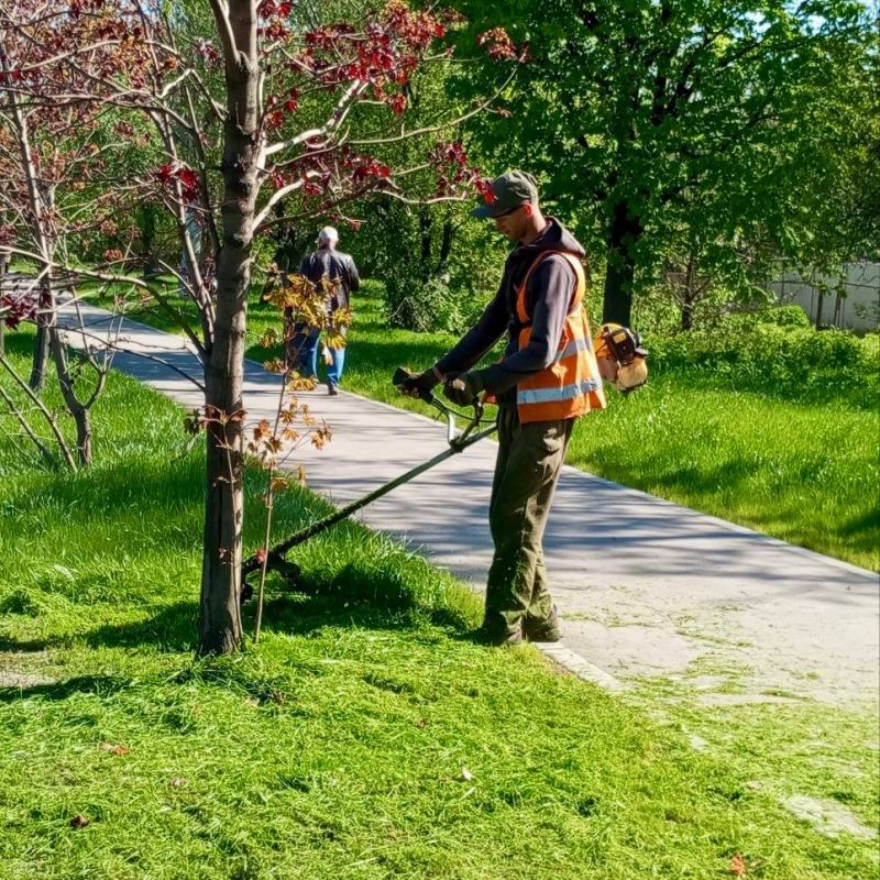 ������ ��������: ������� ��������� ��� ������� ������� ������������� ������������� ������ 29 ������