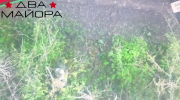 Два майора: Район Дзержинска (Торецка)