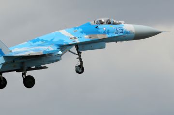 ВКС России сбили украинский истребитель Су-27