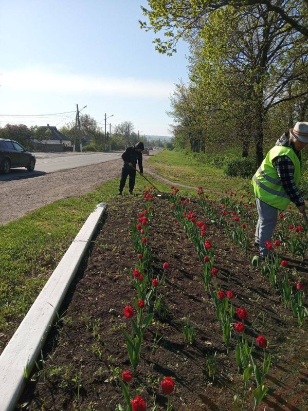 Силами коммунальных предприятий были проделаны работы по наведению чистоты и порядка на территории г. Моспино: