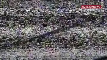 Мотострелки показали разные способы уничтожения дронов "Баба-яга"