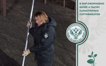 С 1 января по 28 апреля 2025 года сотрудниками Управления Россельхознадзора по Донецкой Народной Республике и Луганской Народной Республике на территории ЛНР оформлено 6080 карантинных сертификатов