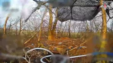Минобороны России: 00:00 Расчёты FPV-дронов группировки войск «Центр» уничтожают вражеские укрепления, поддерживая наступательные действия штурмовых групп на Красноармейском направлении