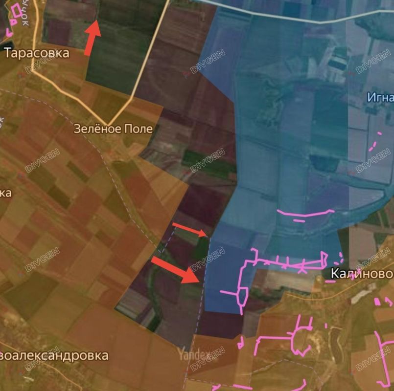 ���� �������: ���������� (���������������) �����������