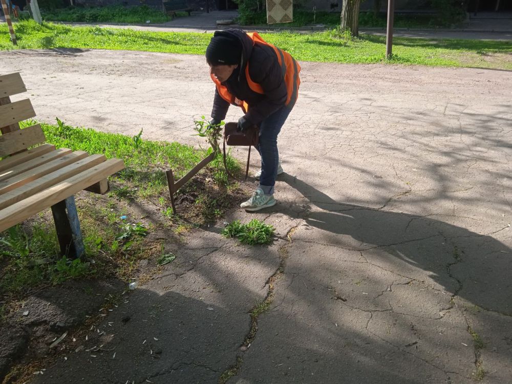 Силами коммунальных предприятий были проделаны работы по наведению чистоты и порядка на территории г. Моспино: