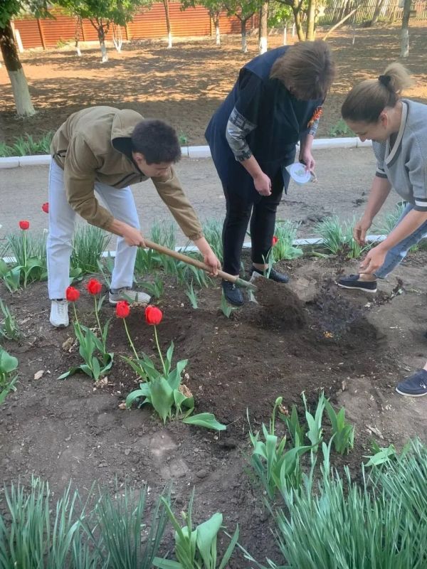 ��������� �������: ����� � 3 ����������� �������������� � ������������� ����� ���� ������