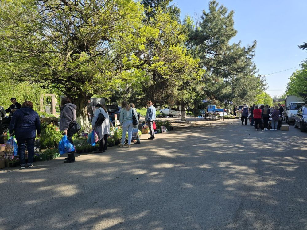 ������� ��������: � ������� ����������� ������ �������� �������� �������