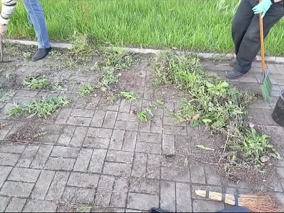 ������ ����. ������������� ������ ������ ������� ��������� �� ���������� ��������� ��������� ������ ������ ������� � ��������� � ���� ������� � ������������ 80-����� ������� ������