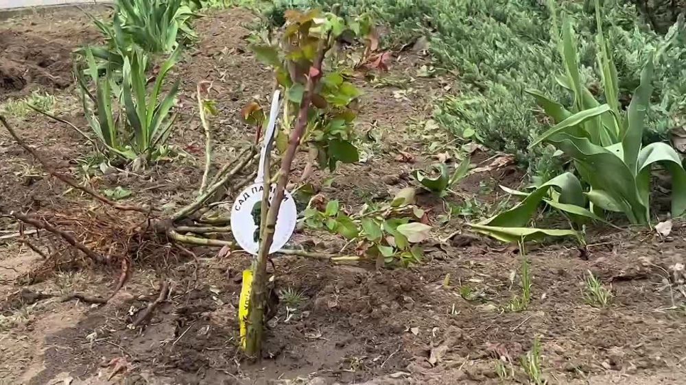 ������� � ��� ��, ��� ������ ���� �����