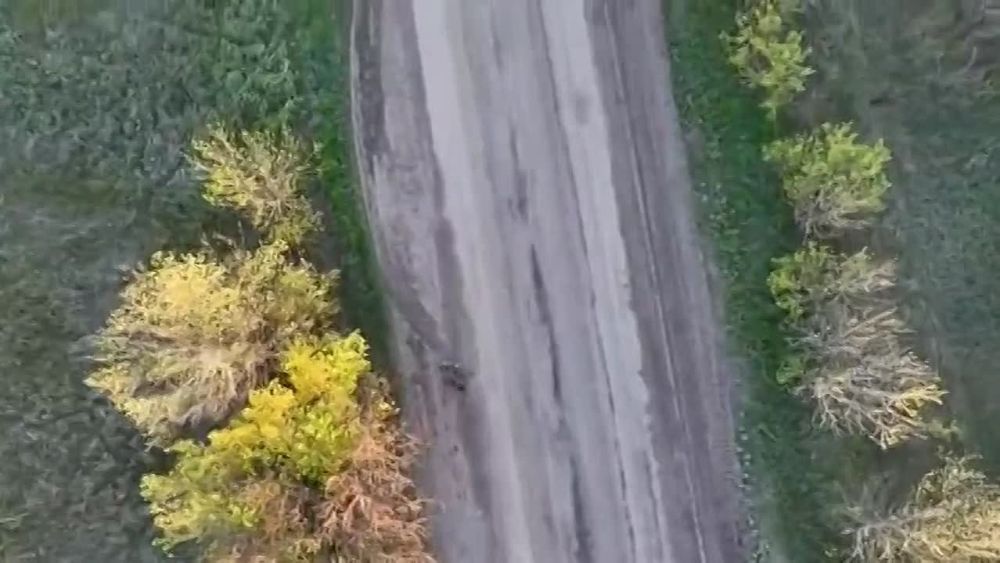 ������� ���������: �� ����-�������� ����������� ����� ��� "������" ���������� ������ ��������� � �������� ���������� � ��� � ���-�������