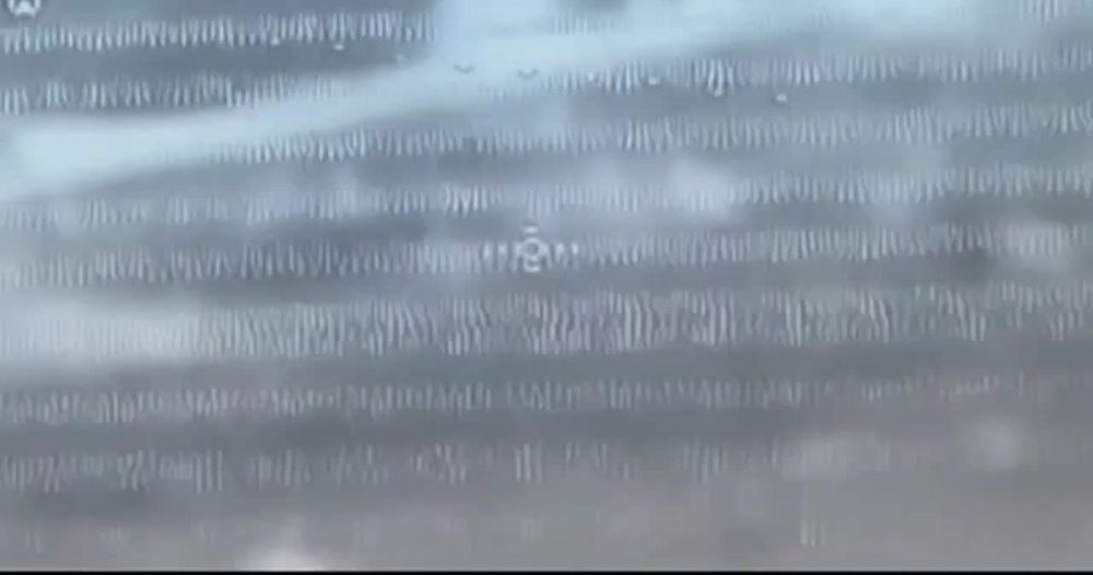 ������ �������: ���������� ����������� "������" �� �� �� �������, ������� �� ��������, ���������� ���������� ���������� �����-��������������� ���� "���� ���" �� ����-�������� �����������