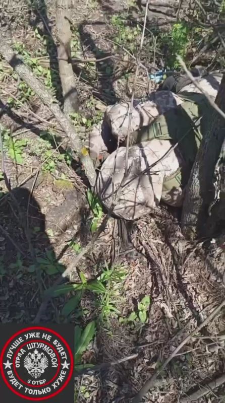 ������ �������: ���������� ����������� "������" �� �� �� �������, ������� �� ��������, ���������� ���������� ������ ���������� �� ����-�������� �����������