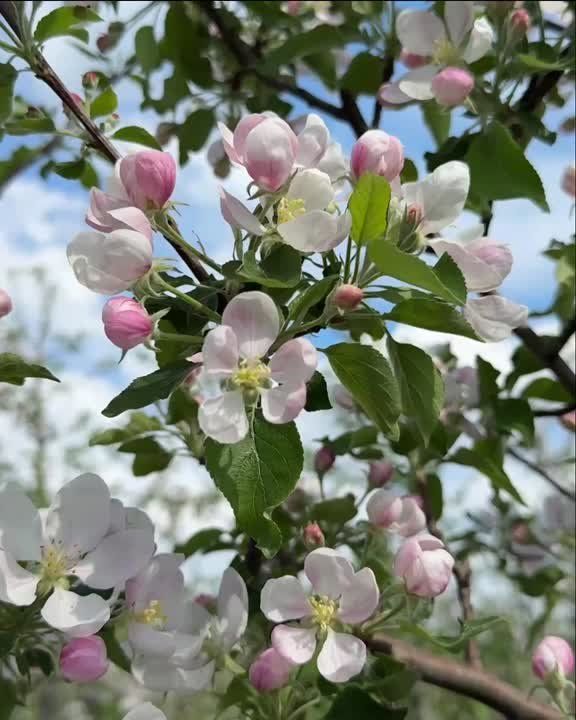 ����� ����������: �������� ���������� � ���������� ����� � �����!