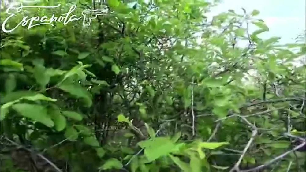 ������� ������: ���� �� ����������� �� ����� �������� ������, �� � ��� � ����� �� ������� ������ �� ��� ����� �� ��������-�����, � � ��� �� �������� ������ ��� �������� � ��� ������ ������