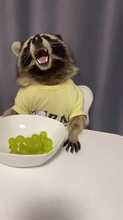 � ������ �����, ���������!