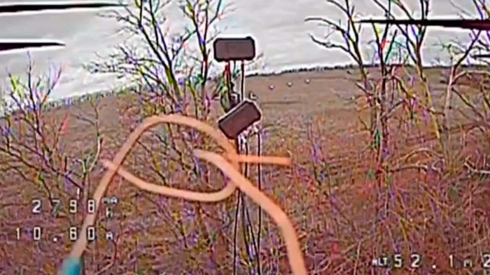 �� �� �������� ����� ����������� ���������� �������������� ������ ���