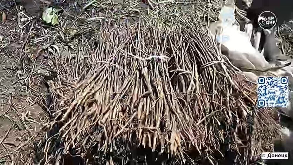 ���� �������������: ������ � ���������� ������� ������� � ������������� ����� � ��������