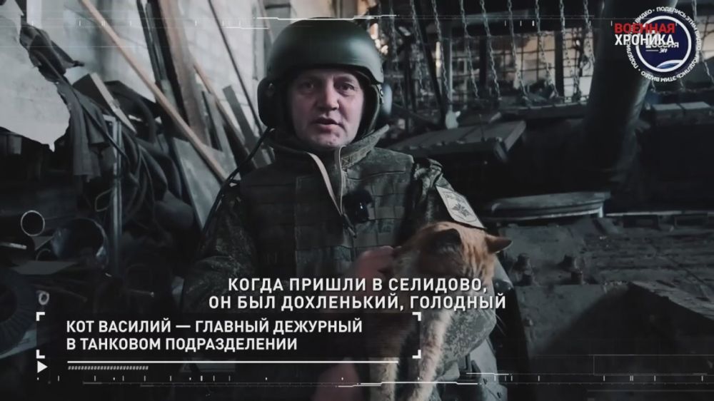 ��������� ��������: ������� �������. 2 ��� - ������ ������������ �� ����