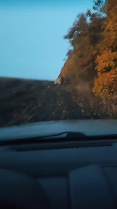 ������ �������: ��� ���� ������������ �� ����-�������� ����������� ���������� MRAP M1224 International MaxxPro ������������� ������������