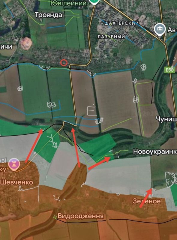 ���� �������: ���������� (���������������) �����������