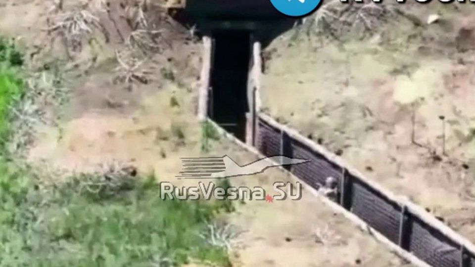 ���������� ���� � �������� �������� ������� ��� � ������ ���������: �����