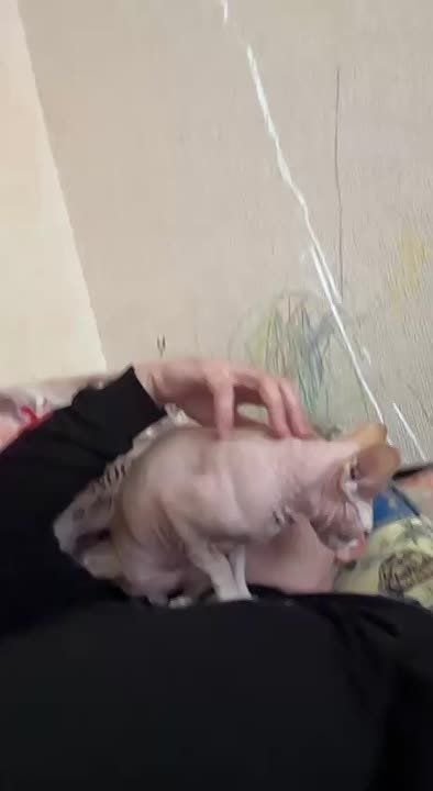 ����� �������: ��� ����! ��� �������� �������