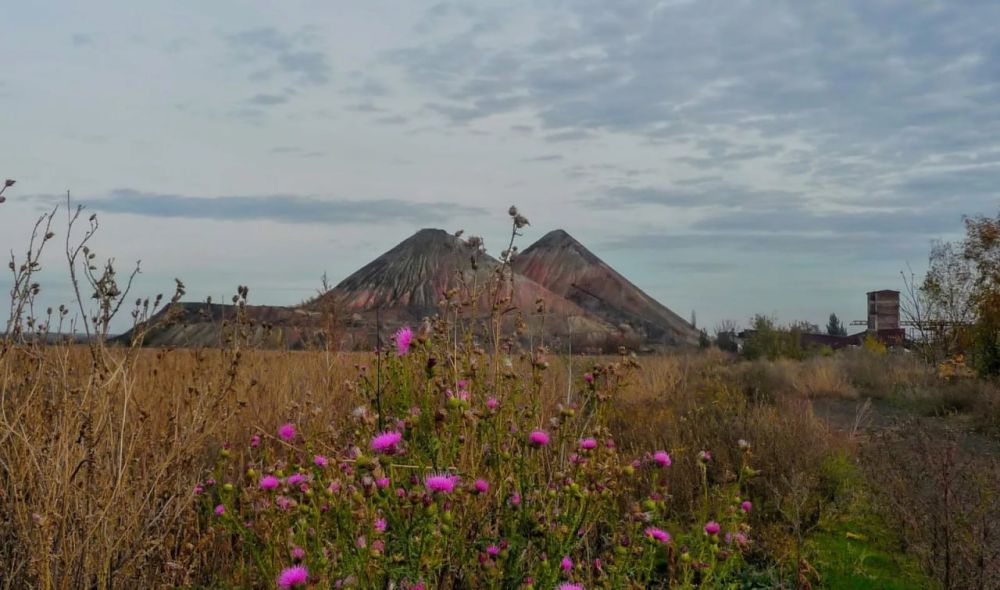 Председатель Народного Совета ДНР Константин Кузьмин сообщил о положениях находящегося в разработке проекта закона «О туристской деятельности в Донецкой Народной Республике»